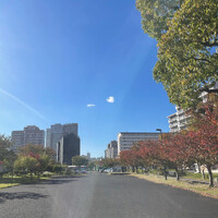 画像277