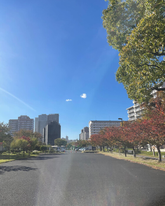画像277