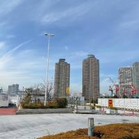 画像304