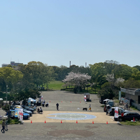 画像874