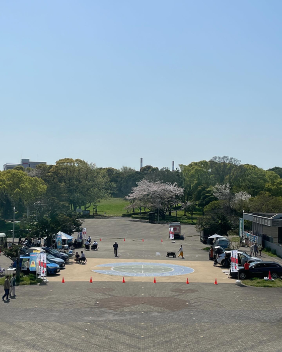 画像874